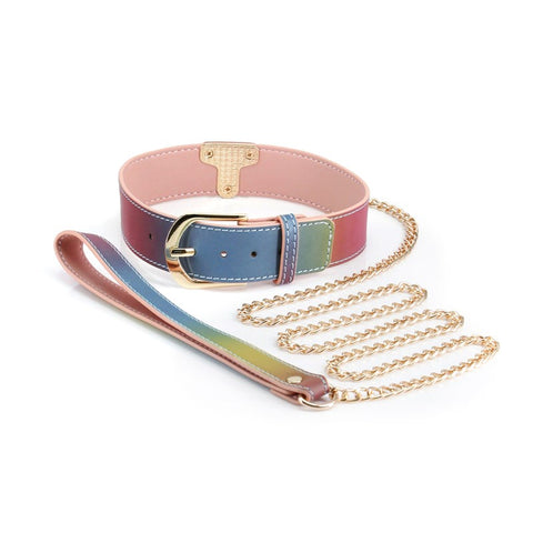Spectra Bondage Collar & Leash - Stylish Restraint for Sensual Play - Collars and Leads