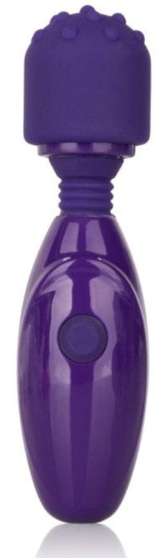 Tiny Teasers Nubby Purple Personal Massagers