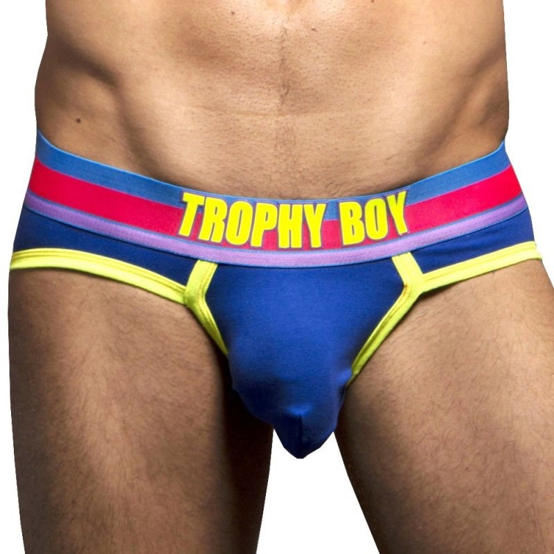 Trophy Boy Hero Brief Gray Mens Briefs And Boxers