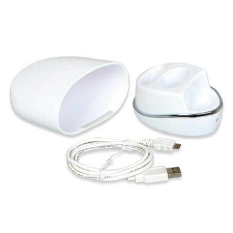 We-Vibe 4 Plus Carrying Case / Charger and USB Cable - Vibrator Accessories