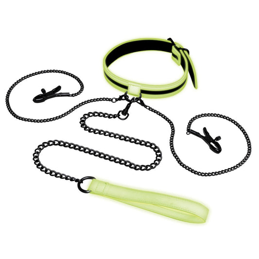 WhipSmart Glow In Dark Collar, Clips + Leash - Collars and Leads