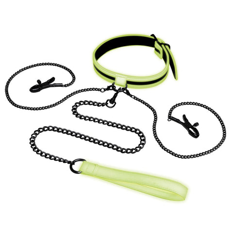 WhipSmart Glow In Dark Collar, Clips + Leash - Collars and Leads