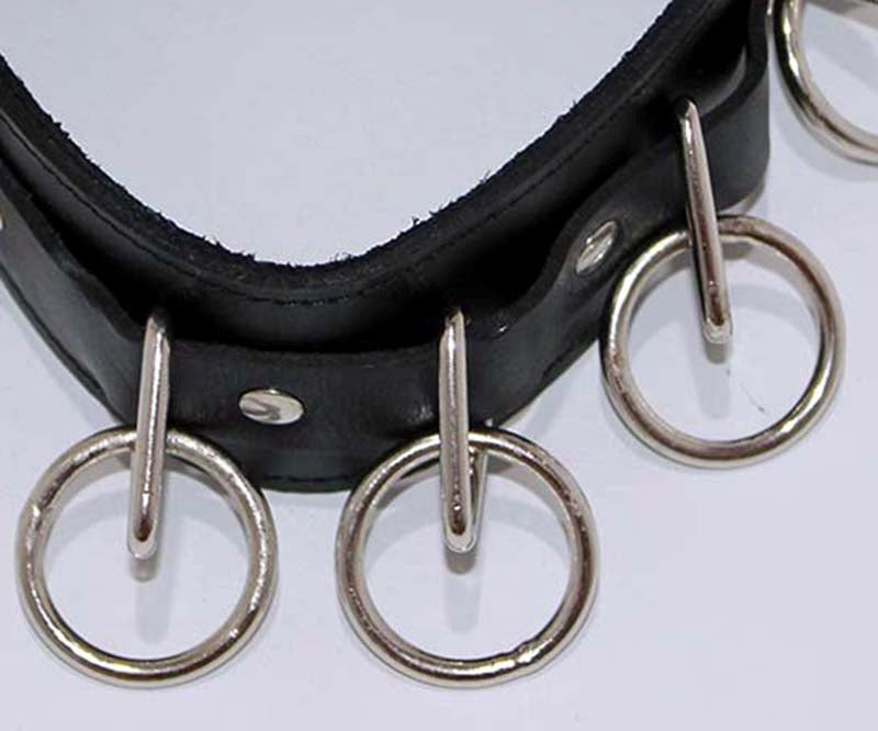 Wild Cat Slaves O-Ring Collar with O-rings and Lead Collars And Cuffs