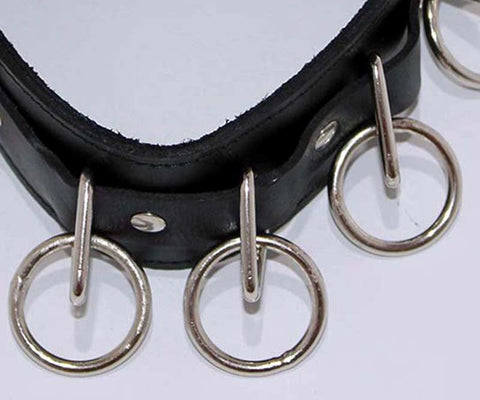BDStyle Wild Cat BDSM Pleasure-Control Collar-Lead Ensemble - Collars and Leads