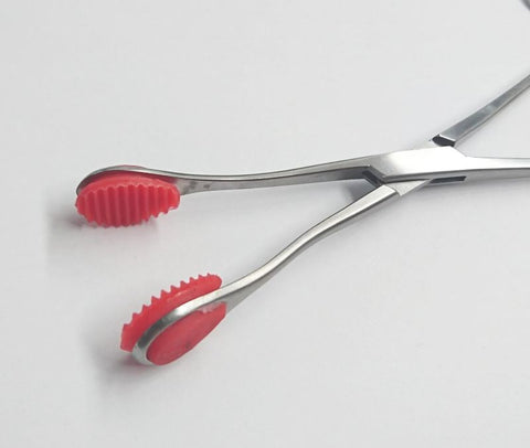 Young Tongue forceps with Straight Handle 20cm - Dental and Clinical