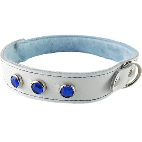 Spartacus Premium Blue Fur-Lined Leather Collar - Collars and Leads