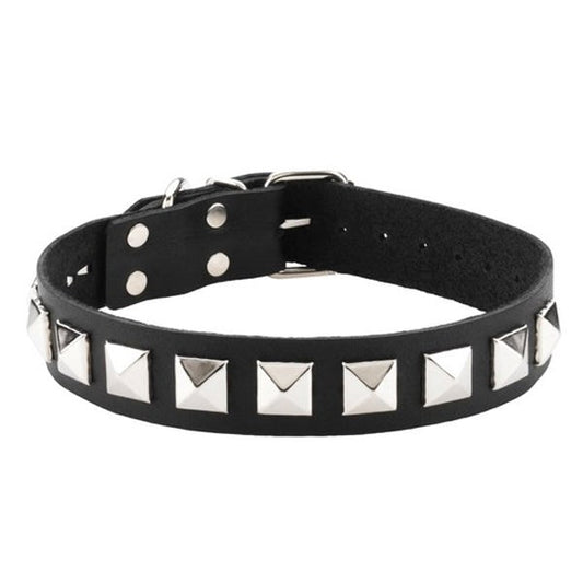 Spartacus Studded Single Strap D-Ring Control Collar - Collars and Leads