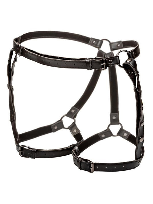 Euphoria Collection Plus Size Adjustable Riding Thigh Harness - Her Fetish