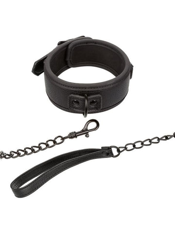 Nocturnal Collection Fetish Collar & Leash - Collars and Leads