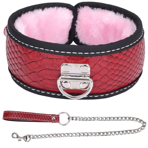 Colorful BDSM Collar With Lead - Steel Sex Toys