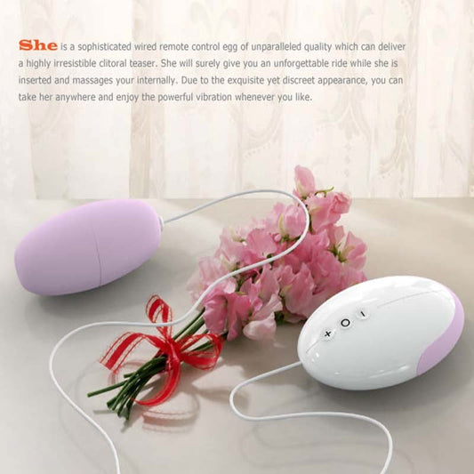 Odeco Wired Remote Control Egg - Steel Sex Toys