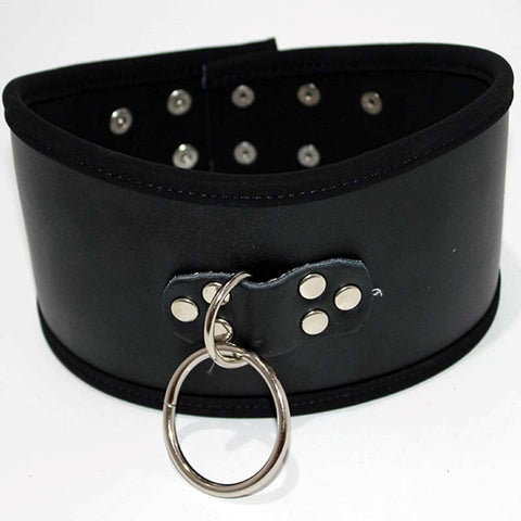 Posture Collar with O Ring - Collars and Leads