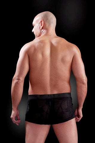 Fetish Fantasy Mens Fetish Play See-Thru Sexy Boxer - Mens Briefs And Boxers