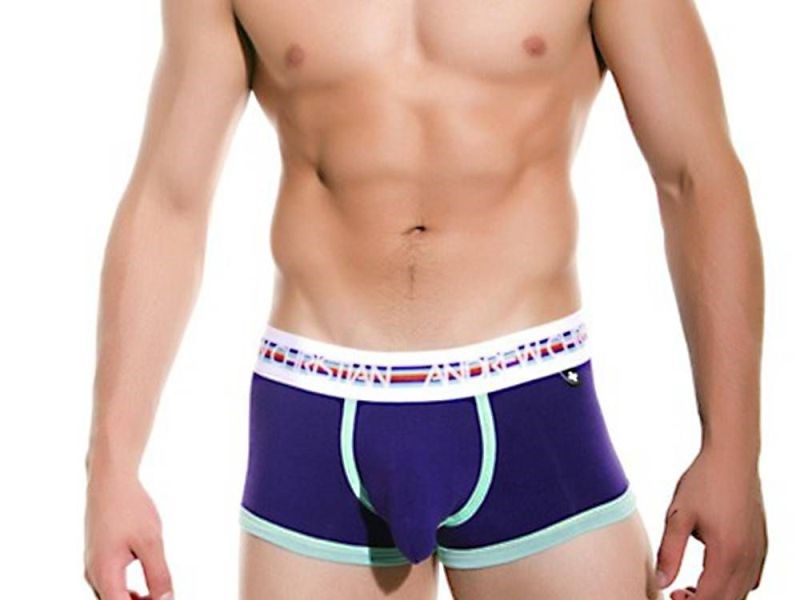 Vivid Fuse Boxer w/ Show-It Purple Mens Briefs And Boxers