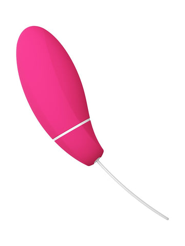 Intimina KegelSmart 2 Rechargeable Pelvic Trainer - Body Wands