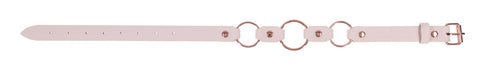 Sex and Mischief Peaches n CreaMe Ring Day BDSM Collar - Collars and Leads
