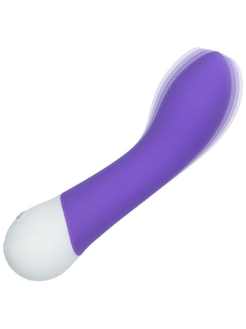 CalExotics Basic Essentials Rechargeable G-Spot Vibe - G-Spot Vibrators