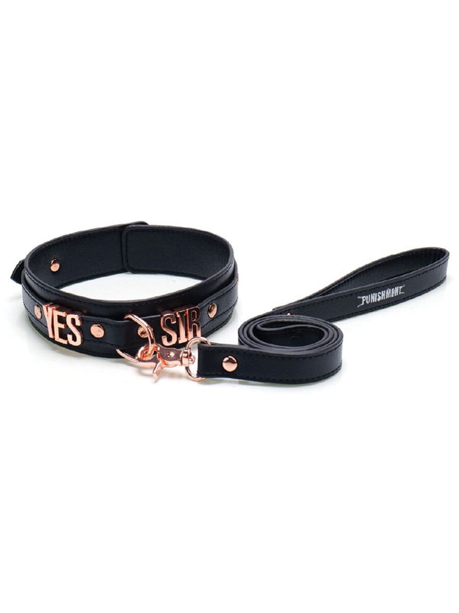 BMS Factory Punishment Rose Gold Yes Sir Collar and Leash Gold Collars and Leads