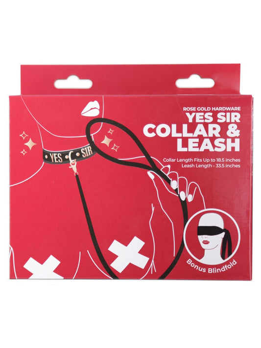 BMS Factory Punishment Rose Gold Yes Sir Collar and Leash Collars and Leads