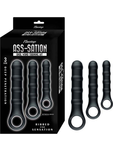 Nasstoys Ass-Sation Anal Wand Training Kit