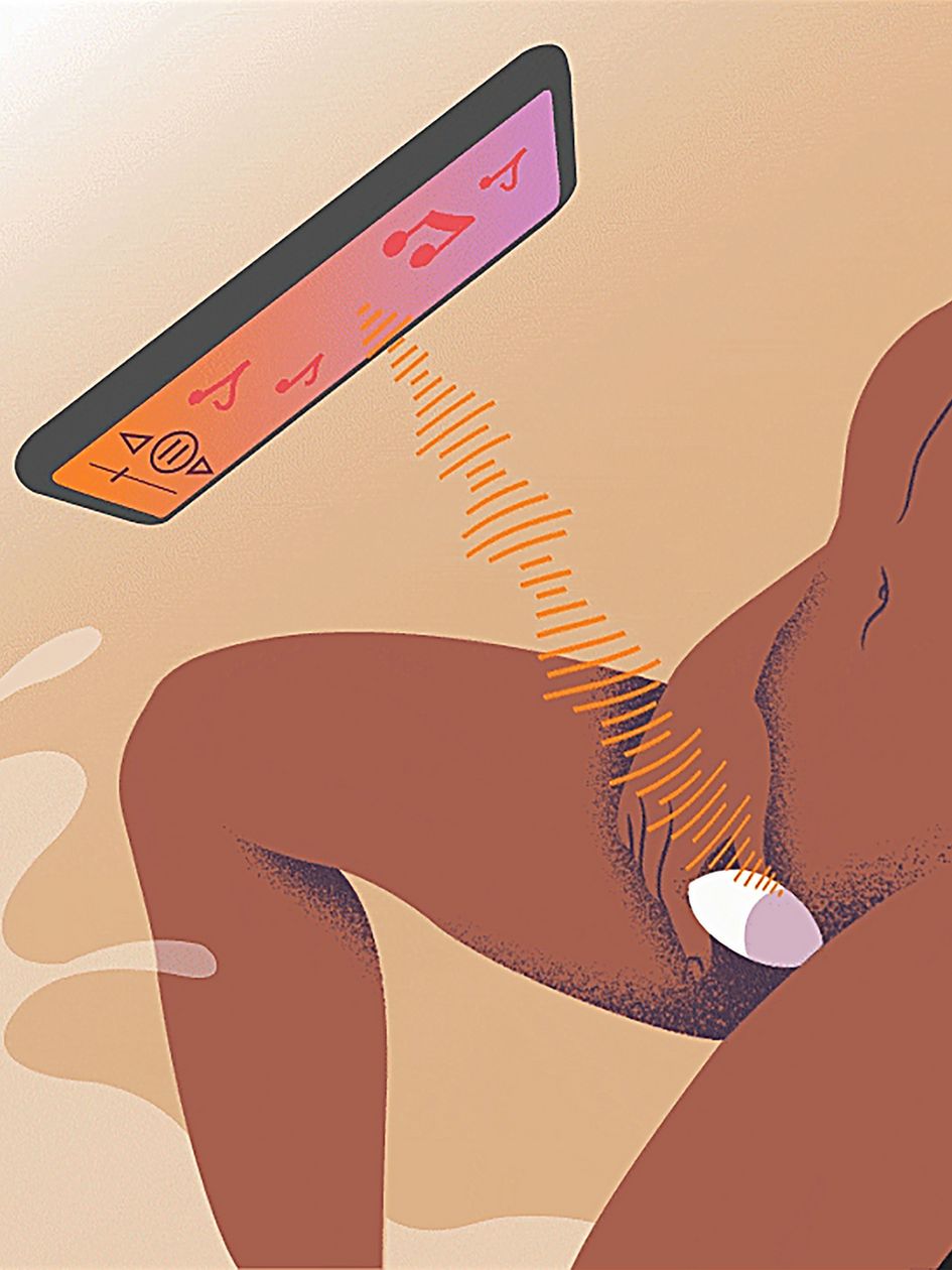 Lelo Siri 3 Sound Sense Silicone Clitoral Vibrator Remote Control Vibrators