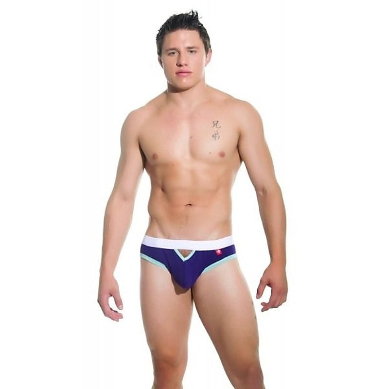 Premium Teaser Brief Purple by Andrew Christian - Mens Briefs And Boxers
