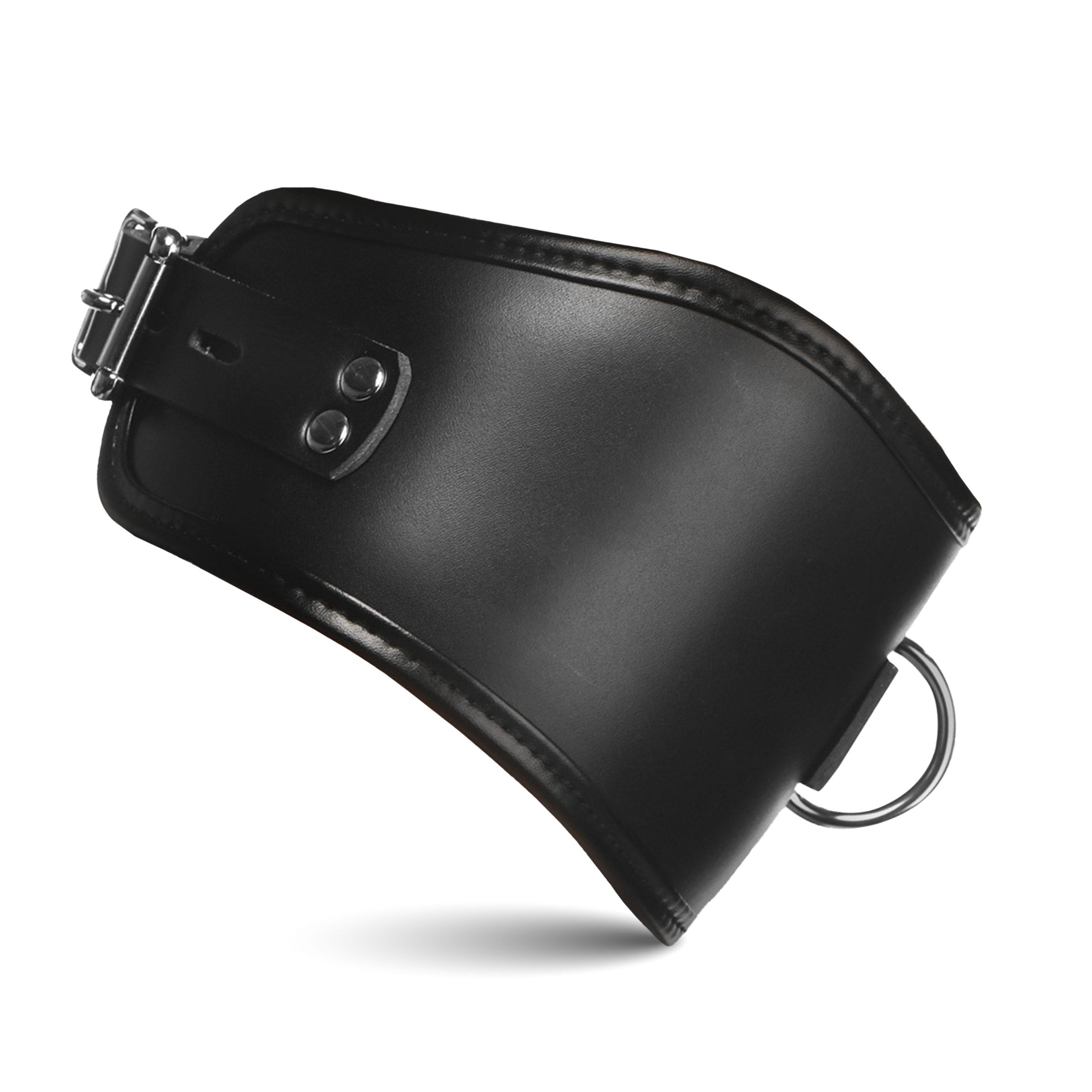 Master Series Hard Stance Padded Locking Posture Collar - Collars and Leads