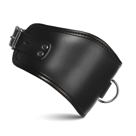 Master Series Hard Stance Padded Locking Posture Collar - Collars and Leads