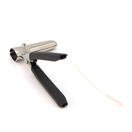 BDStyle's Versatile Electric Anal Speculum - Elevate Your Intimate Exploration - Dental and Clinical