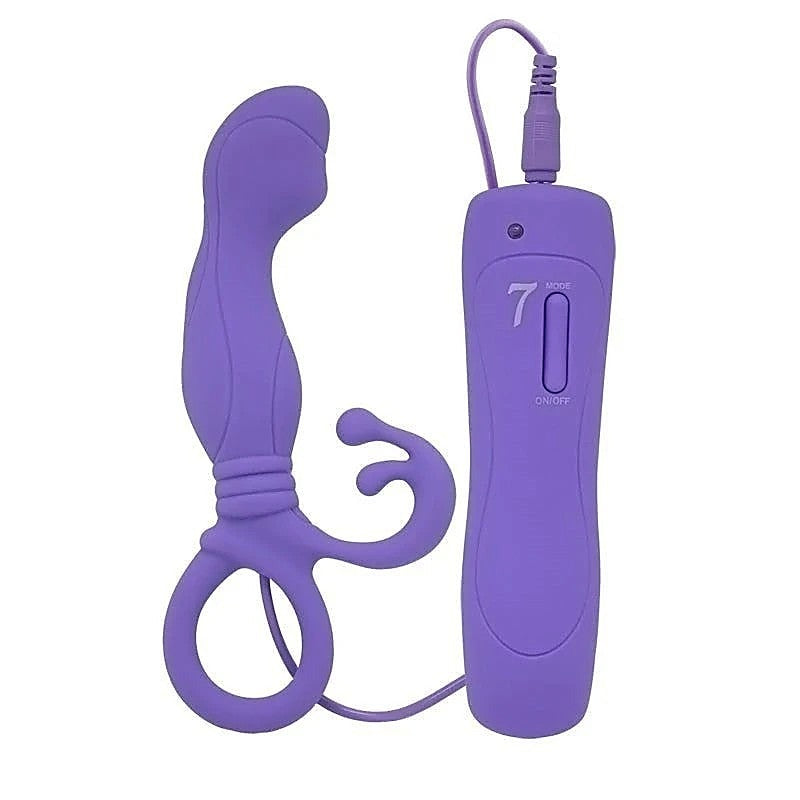Aphrodisia Little Turtle Prostate Stimulator Vibrating - Anal Vibrators