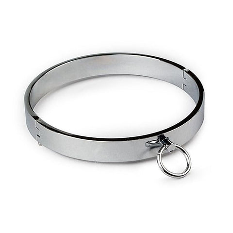 Secure, Stylish Metal Slave Collar by BDStyle - Collars and Leads