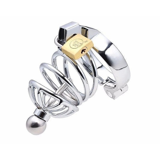 Instituted Cock Cage & Penis Plug - Male Chastity