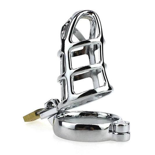 Lions Den Steel Cock Cage - Ball and Cock Toys