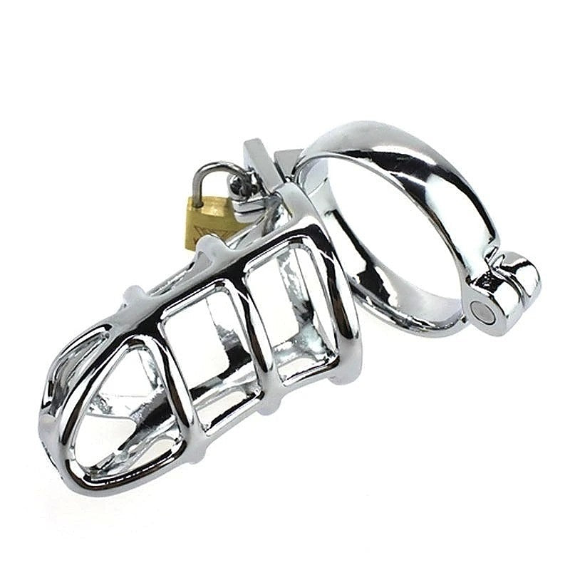 Lions Den Steel Cock Cage - Ball and Cock Toys