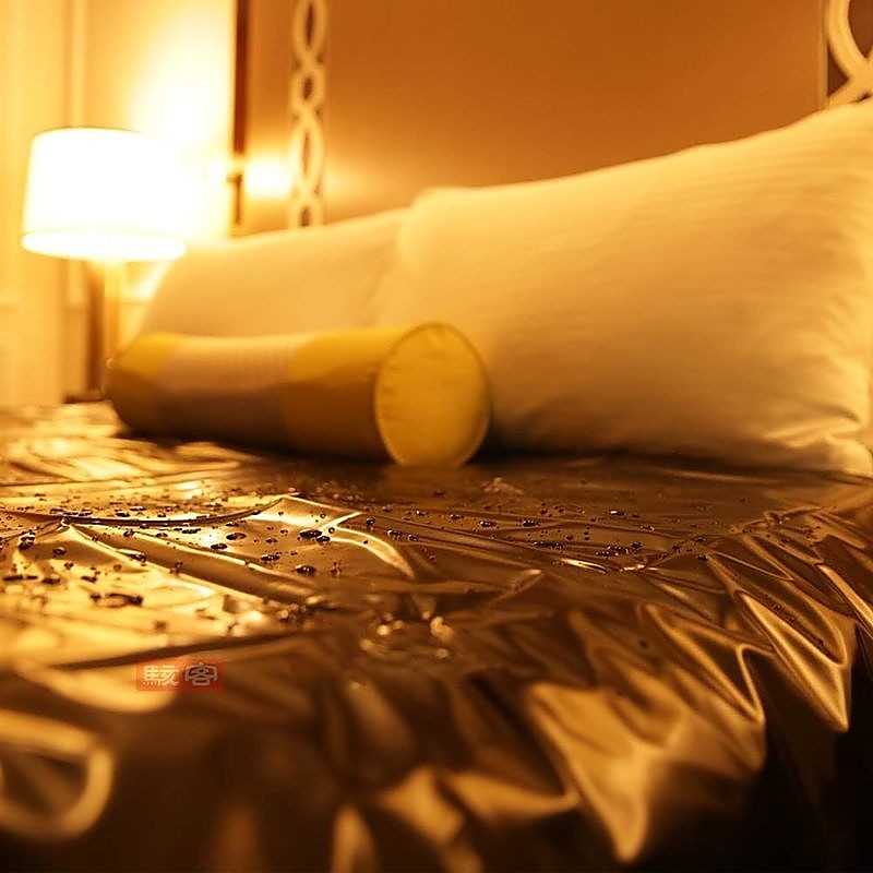 Incontinence Waterproof Bed Sheets - Large by BDStyle - Sex Furniture