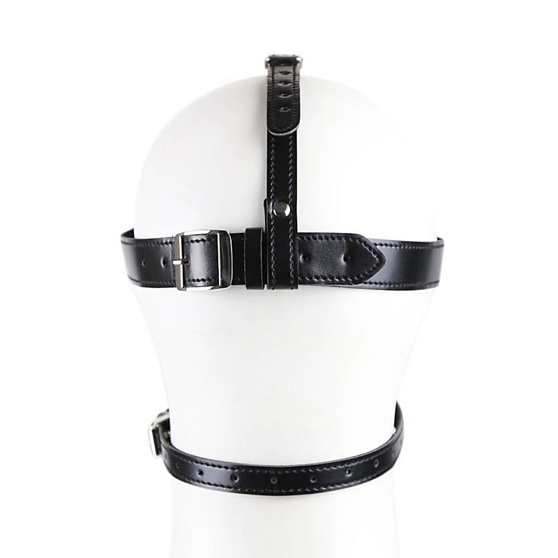 BDStyle Bondage Gag Harness with Blindfold - Bondage Gags and Bits
