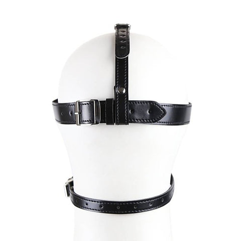 BDStyle Bondage Gag Harness with Blindfold - Bondage Gags and Bits