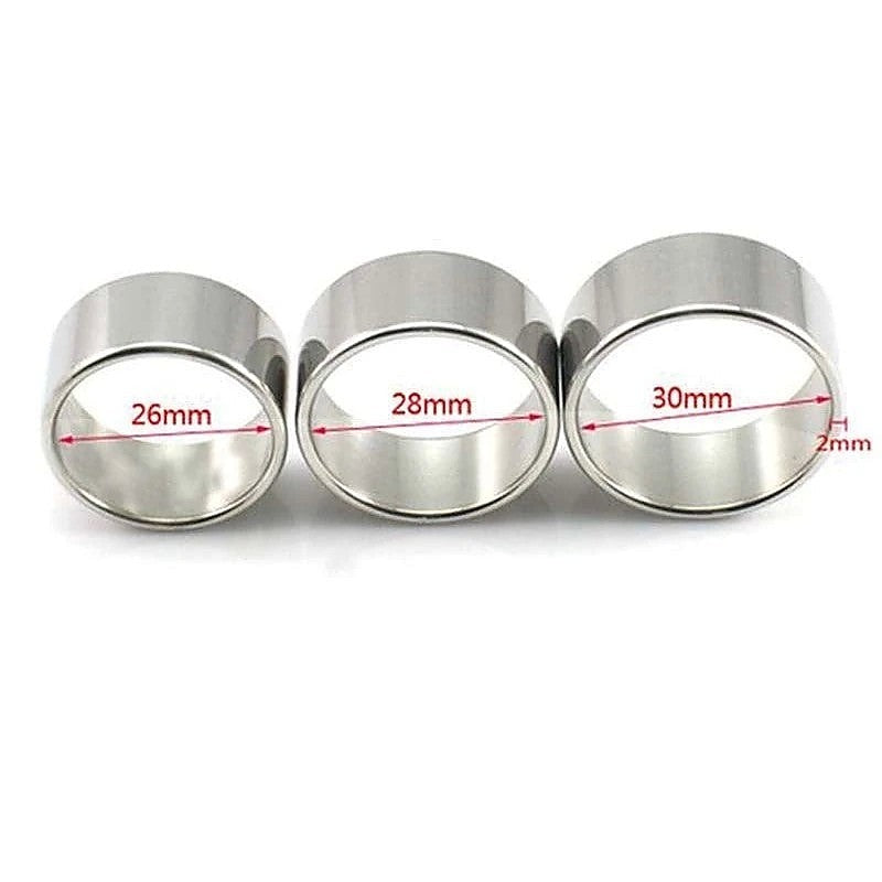 Premium Stainless Steel Cock Ring by BDStyle - Cock Rings