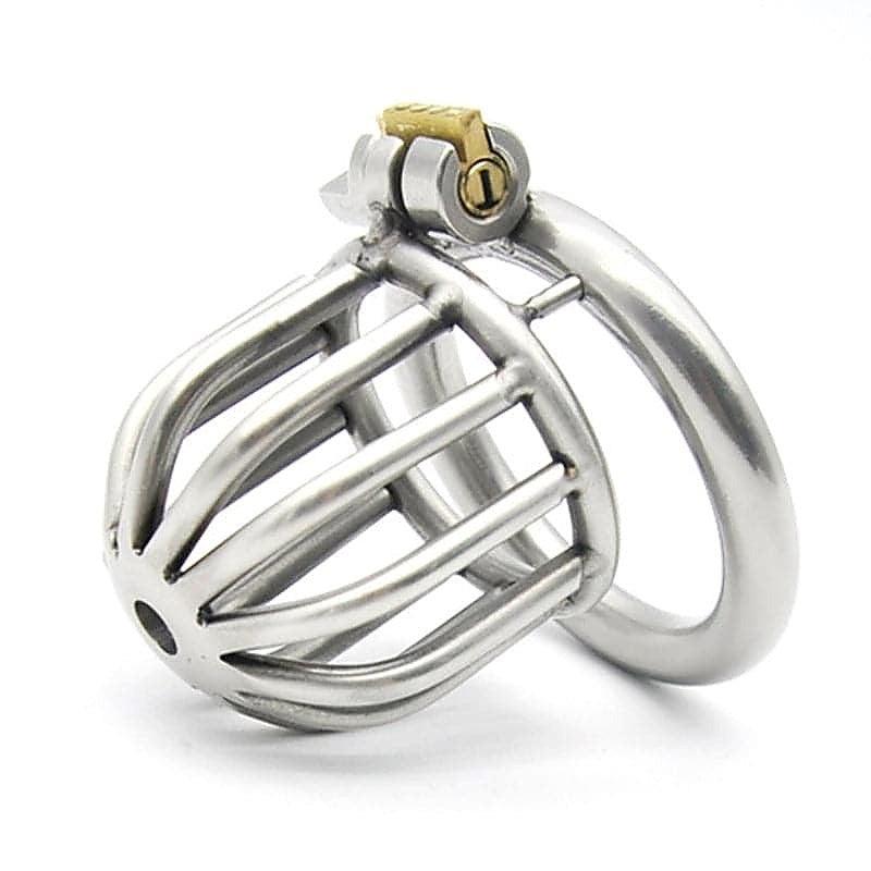 Asylum Chastity Cage by BDStyle - Male Chastity