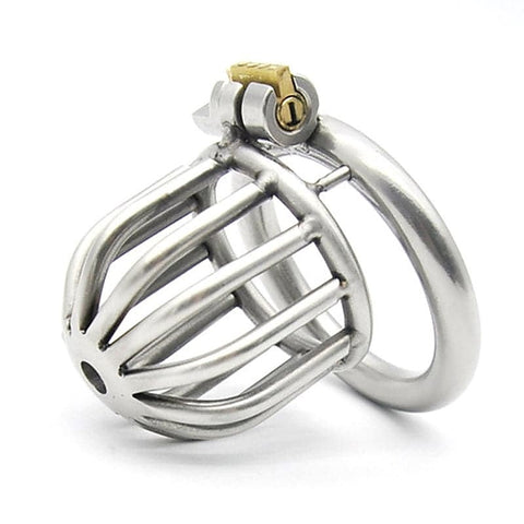 Asylum Chastity Cage by BDStyle - Male Chastity