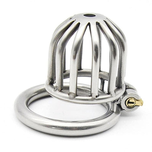 Asylum Chastity Cage by BDStyle - Male Chastity