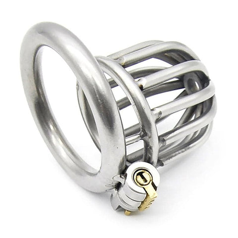 Asylum Chastity Cage by BDStyle - Male Chastity