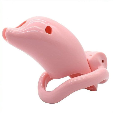 Premium Dolphin Male Chastity Device by BDStyle - Male Chastity
