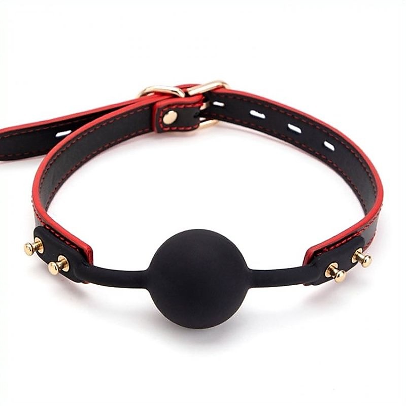Premium Silicone Ball Bondage Gag by BDStyle - Bondage Gags and Bits