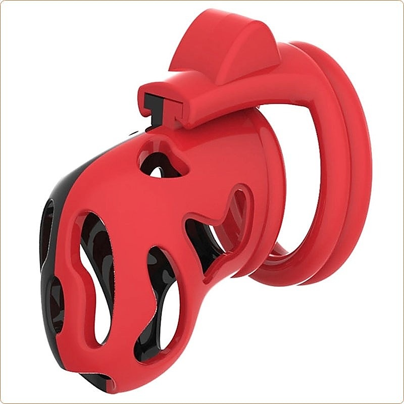 La Color Birdlocker Male Cock Cuff Chastity Cage by BDStyle - Male Chastity