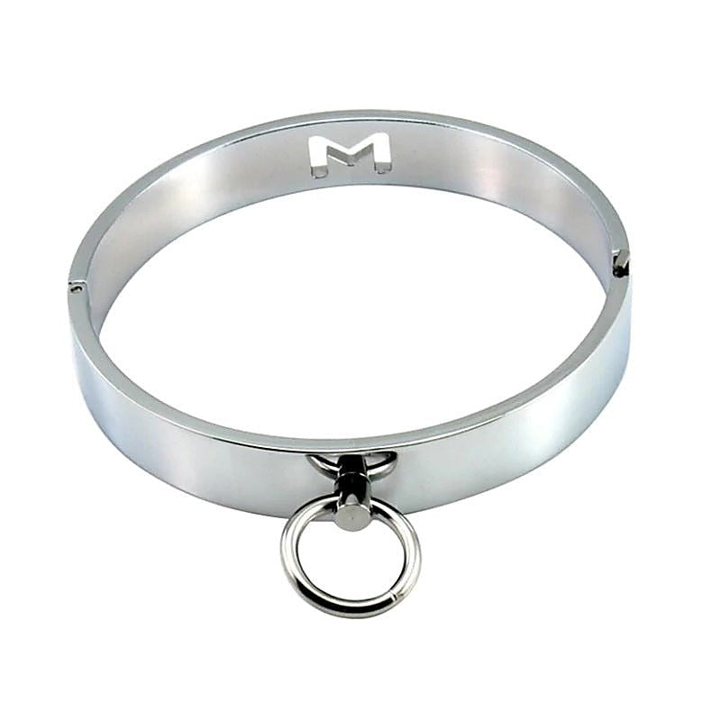 Professional Master Metal Collar by BDStyle - Collars and Leads