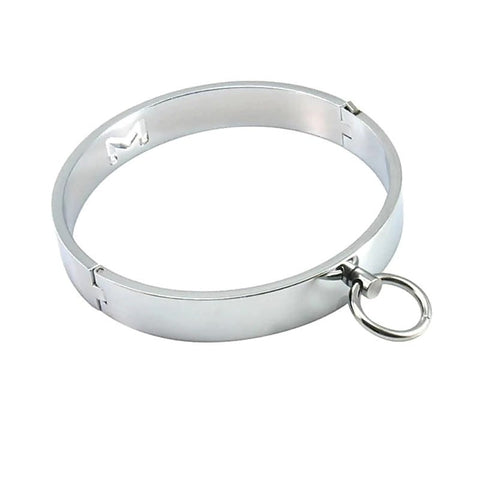 Professional Master Metal Collar by BDStyle - Collars and Leads