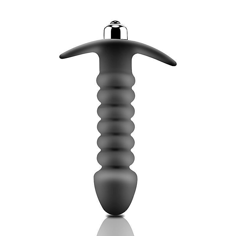 Premium Vibrating Ribbed Butt Plug by BDStyle - Anal Beads and Balls