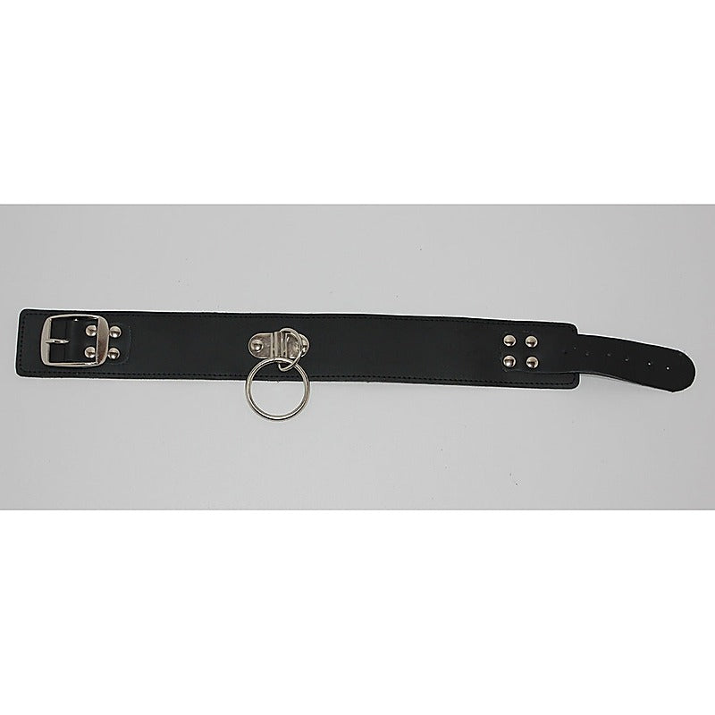 SirN Adjustable Bondage Collar Light PVC by BDStyle - Collars and Leads