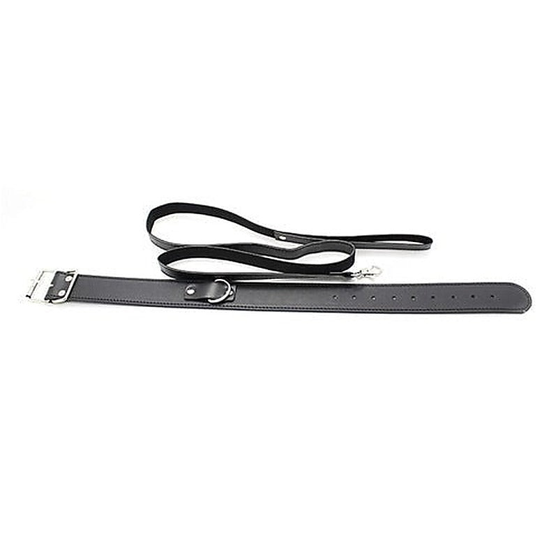 Premium Fur Lined Collar with Leash by BDStyle - Luxury Sex Toys